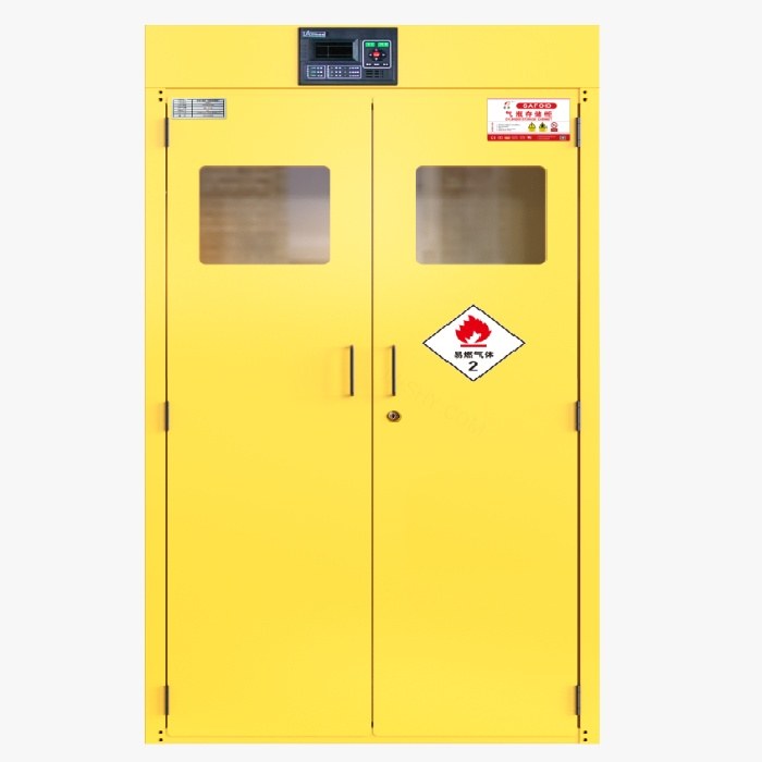 气瓶柜 双瓶 不含报警器 H1900*W900*D450mm