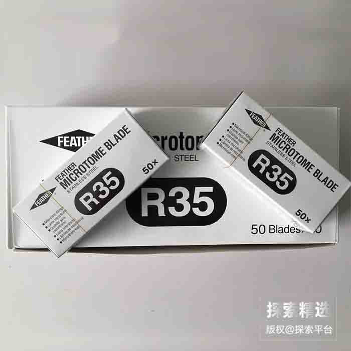 日本羽毛牌病理刀片 R-35