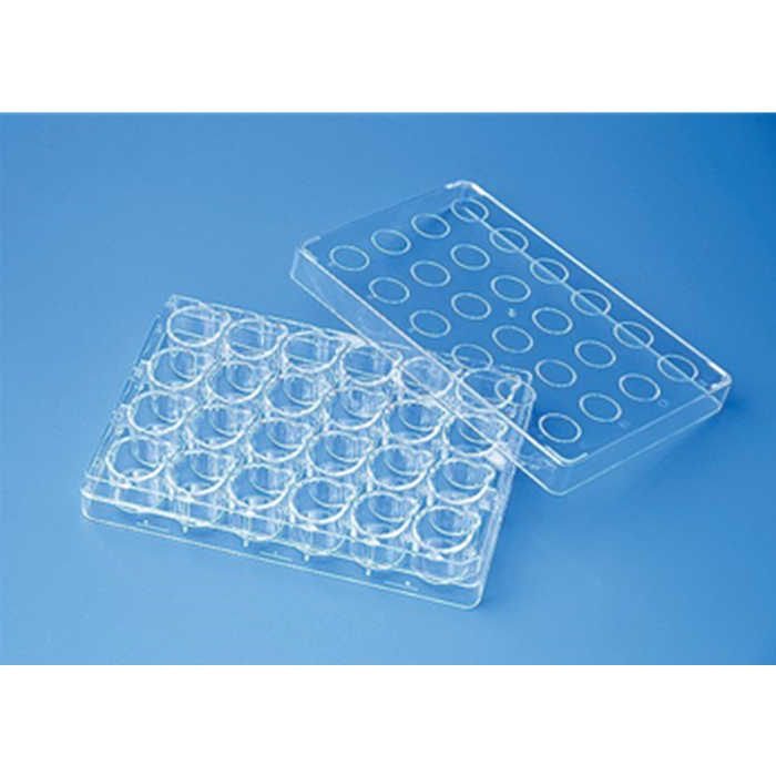 Insert 24孔BRANDplates嵌套式培养板底板,带盖,cellGrade plus ,单独包装