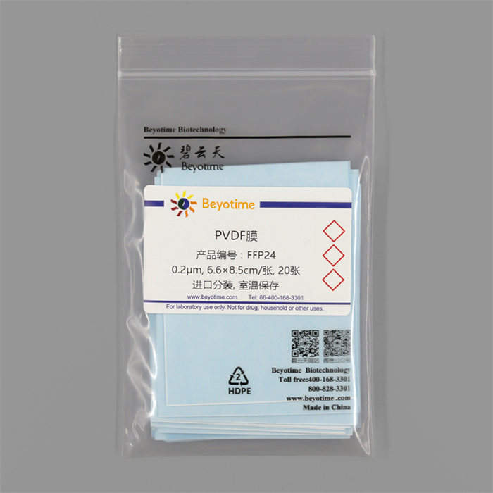 PVDF膜(进口分装, 6.5×8.5cm, 0.45um) - Beyotime/碧云天