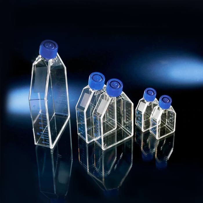 [CCP]Nunc EasyFlasksTM Poly-D-Lysine(多聚D赖氨酸)预包被175cm2/55ml