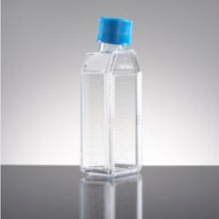 50ml斜颈25cm2 细胞培养瓶 通气盖,标准TC - Falcon