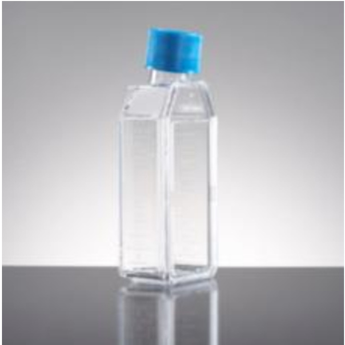 25ml斜颈12.5cm2 细胞培养瓶  通气盖,标准TC - Falcon