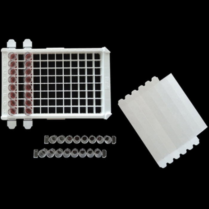 EZcap通用封膜条 1X8 透明PP -40℃至+120℃ 非消毒 可粘贴 - 巴罗克/BIOLOGIX