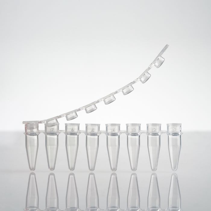 LVB-PCR0208N PCR 8联排管，0.2毫升，带平盖，无色，灭菌 - Lavibe/乐斐