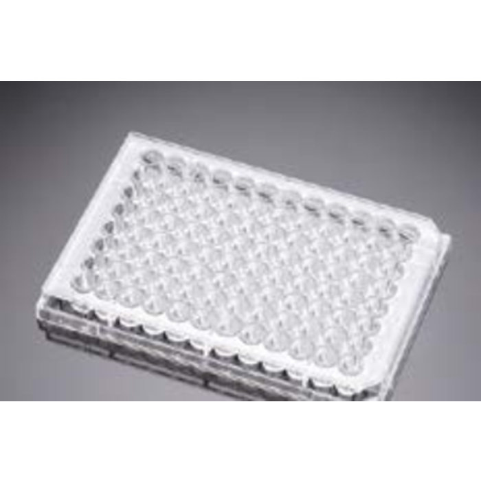 Ⅰ型胶原包被的96孔板Collagen I 96 Well Clear Flat Bottom TC-Treated Microplate, with Lid - Biocoat