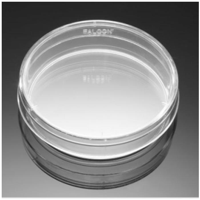 多聚-L-赖氨酸包被的培养皿Poly-L-Lysine 60mm Culture Dishes - Biocoat