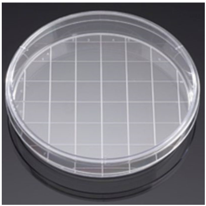 多聚-D-赖氨酸包被的培养皿Poly-D-Lysine 150mm TC-Treated Gridded Culture Dishes Nonsterile - Biocoat