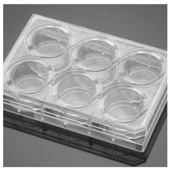 羧基包被的6孔板 6 Well Carboxyl Plate - Biocoat
