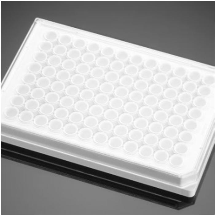 多聚-D-赖氨酸包被的96孔板Poly-D-Lysine 96 Well White Flat Bottom Microplate, with Lid - Biocoat