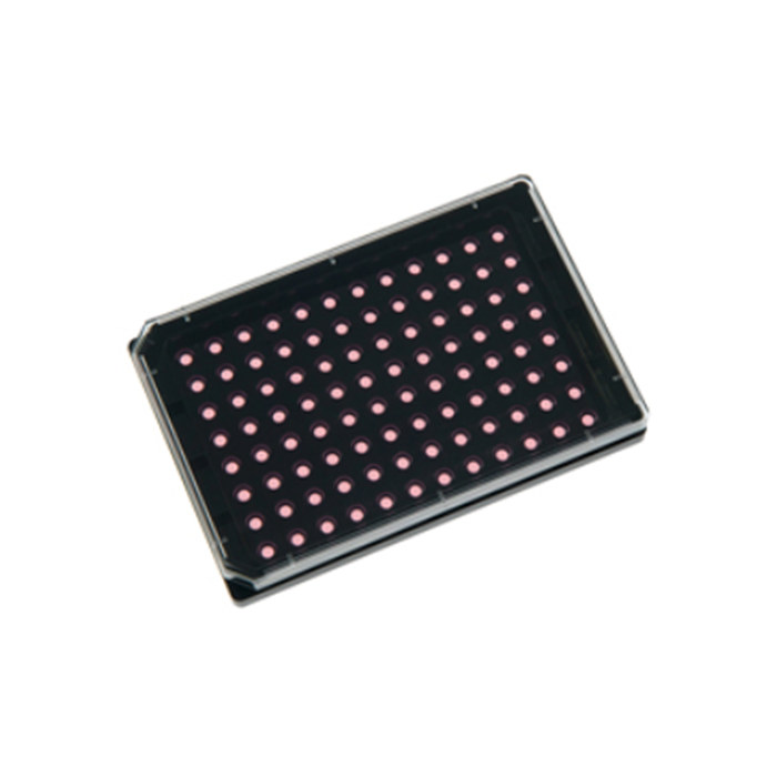 u-Plate96孔血管生成培养板 ibiTreat底部处理