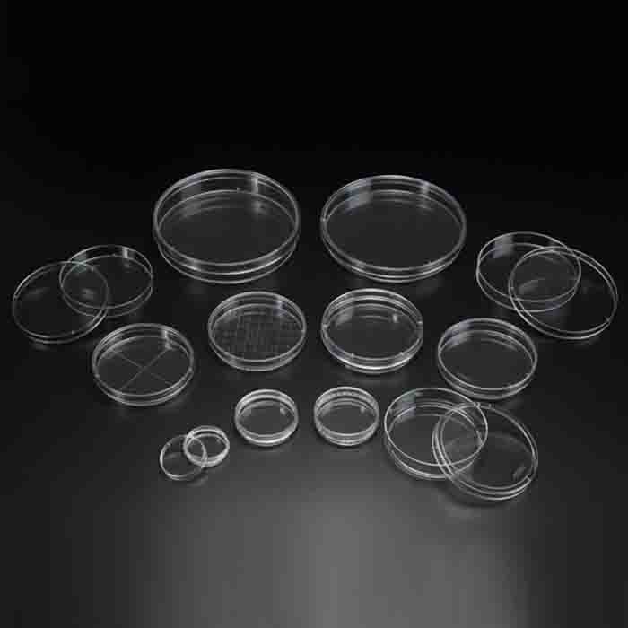 细菌培养皿PS 90x15mm 无菌 - SPL Life Sciences
