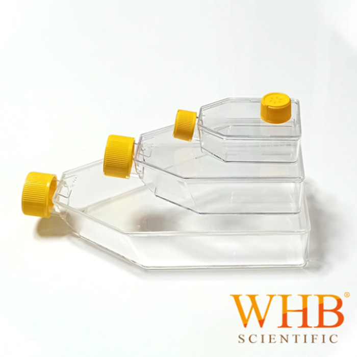 层粘连蛋白包被25cm2培养瓶 50ml 透气盖 灭菌