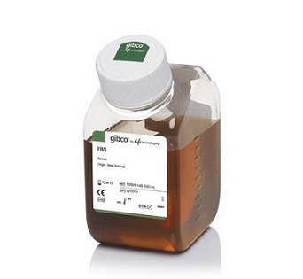 胎牛血清 新西兰 Fetal Bovine Serum, Qualified, New Zealand Origin