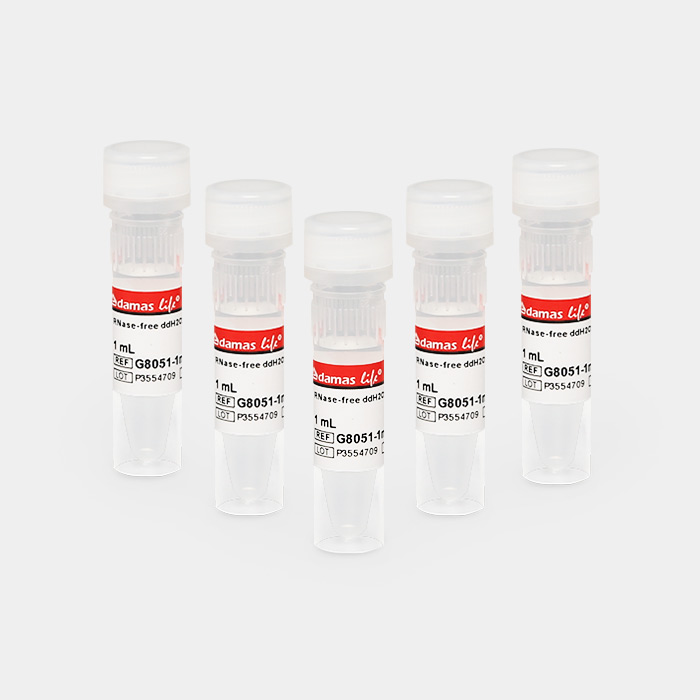 RNase-free 去离子水