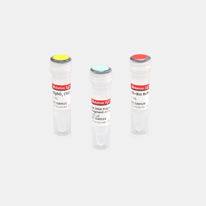 Bst DNA 聚合酶大片段