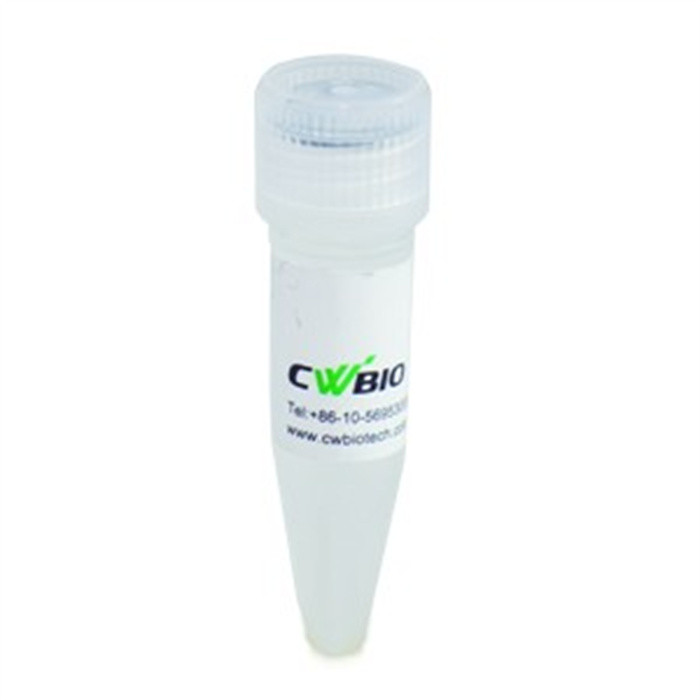 Protease Inhibitor Cocktail (EDTA-Free,100X in DMSO)试剂