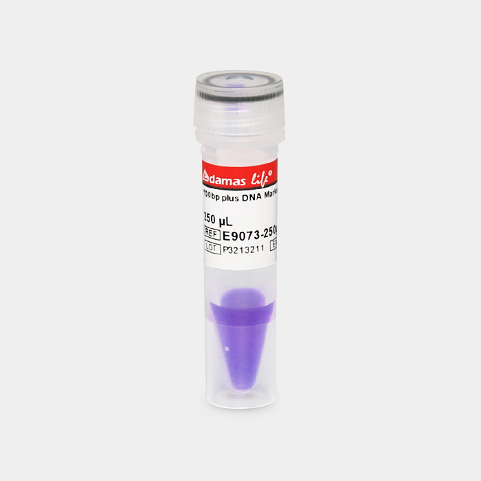 100bp plus DNA分子量标准