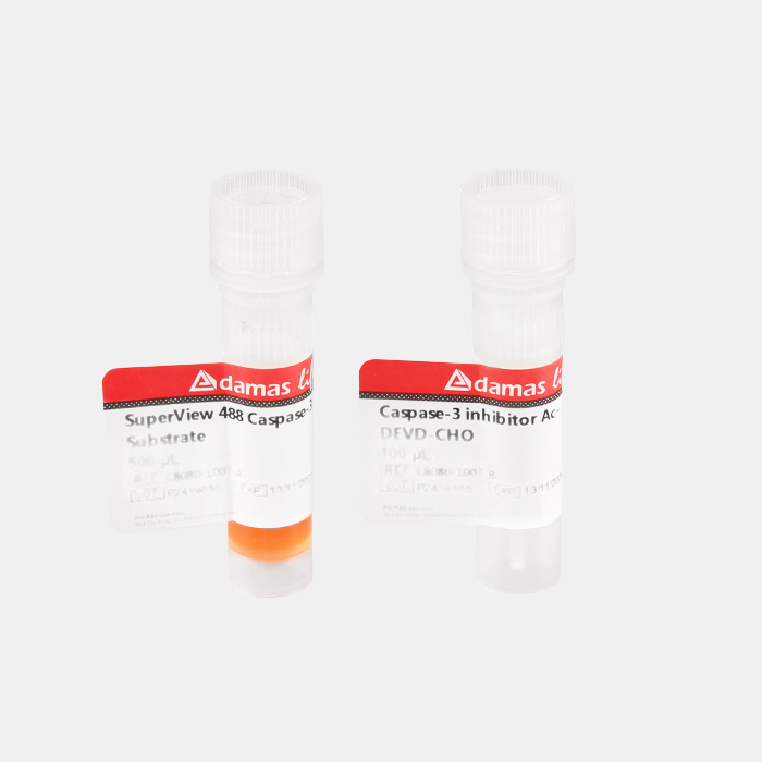 SuperView 488 Caspase-3 活细胞分析试剂盒
