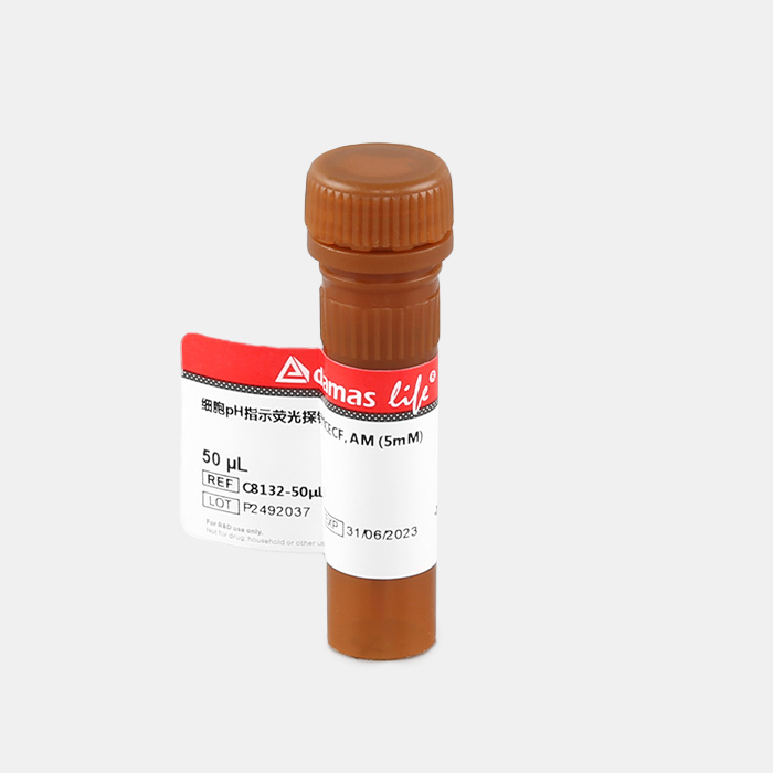 细胞pH指示荧光探针BCECF, AM (5mM)