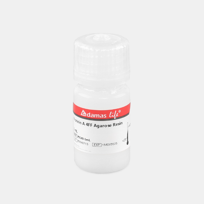 Protein A 4FF琼脂糖纯化树脂