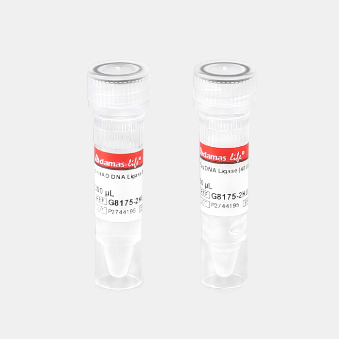 Taq DNA 连接酶