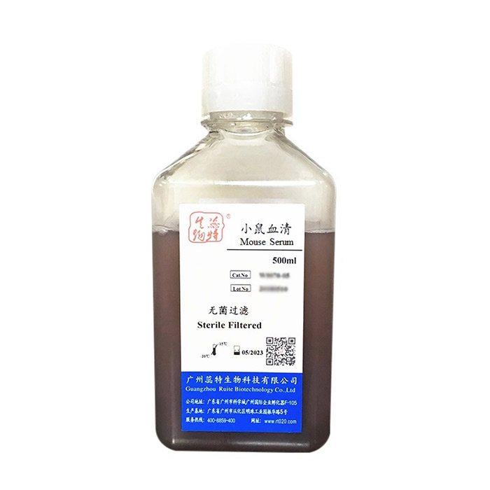 小鼠血清