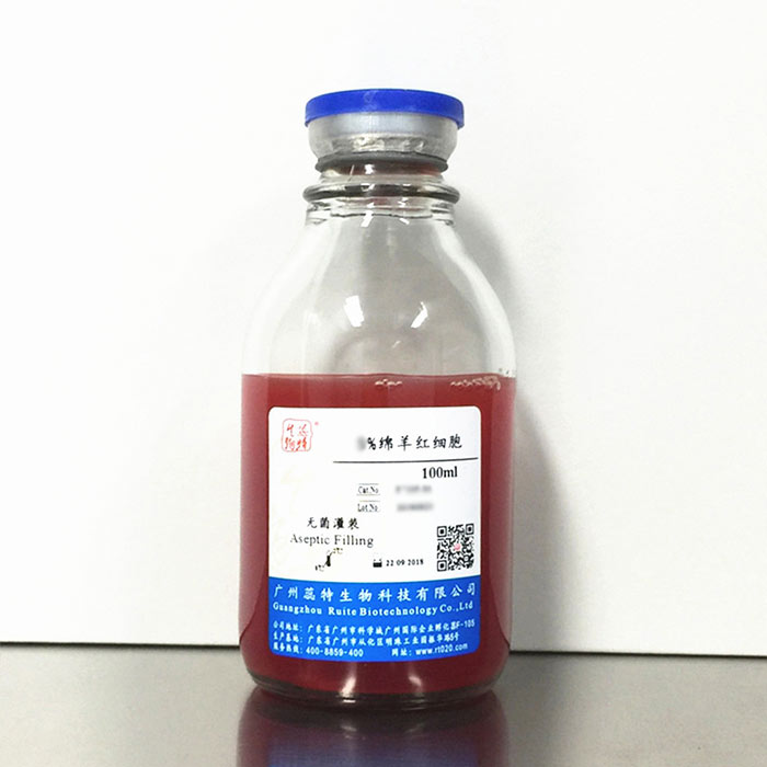 1%绵羊红细胞