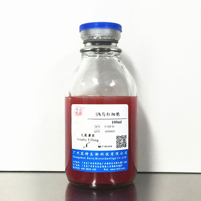 5%马红细胞