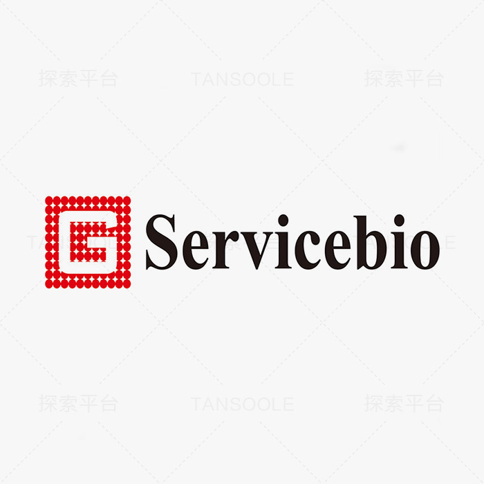 Anti-KLRG1 Rabbit pAb抗体