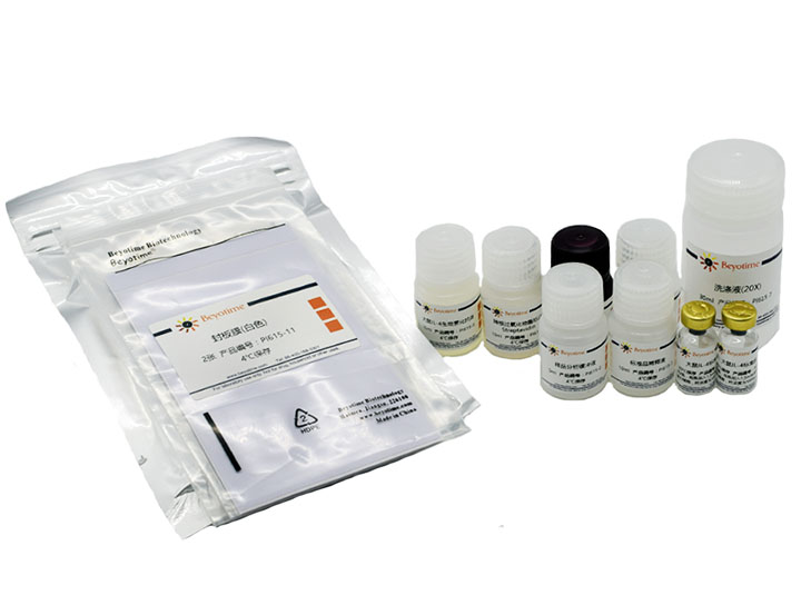 试剂盒Rat IL-4 ELISA Kit