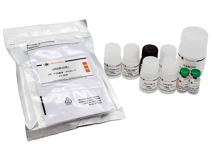 试剂盒Human IL-8 ELISA Kit