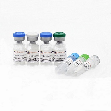 重组蛋白Recombinant Rhesus Macaque Flt-3 Ligand
