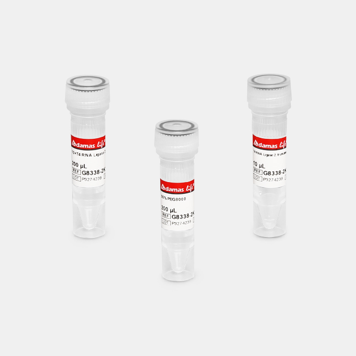 T4 RNA 连接酶 2，截短型