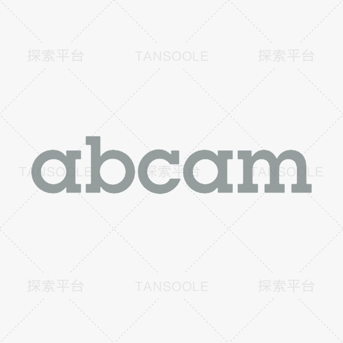 Anti-Plectin 抗体 [E398P] - BSA and Azide free