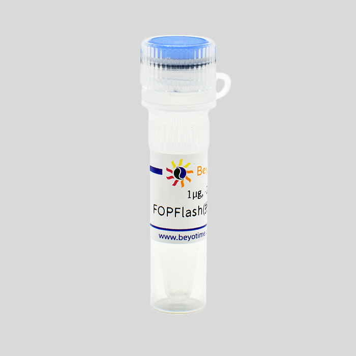 FOPFlash(报告基因质粒)