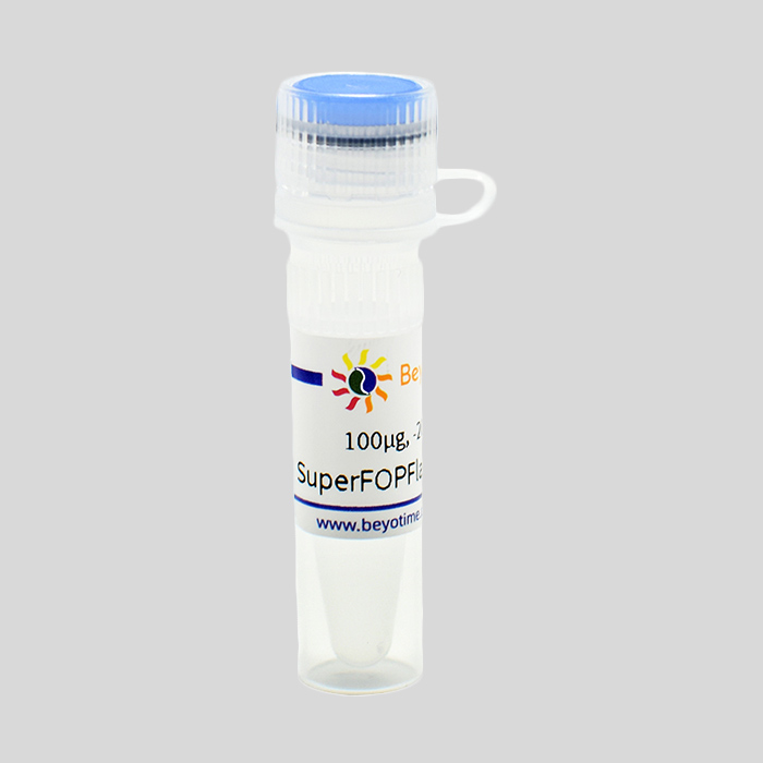 SuperFOPFlash(报告基因质粒)