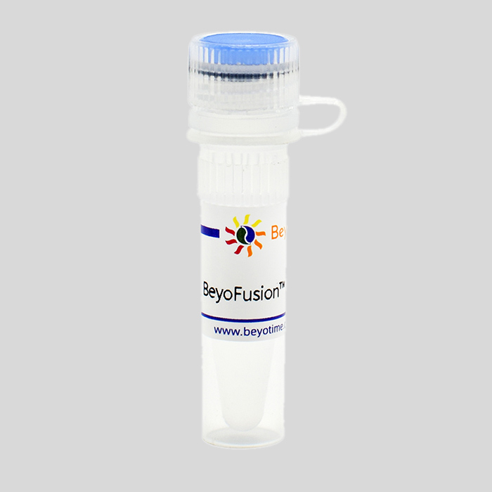 BeyoFusion PCR Master Mix (2X)