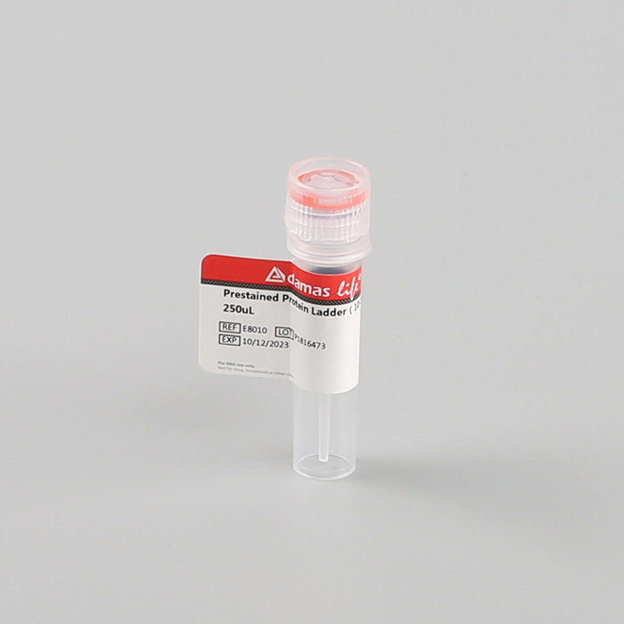 彩色预染标准蛋白Marker(10-180kDa)