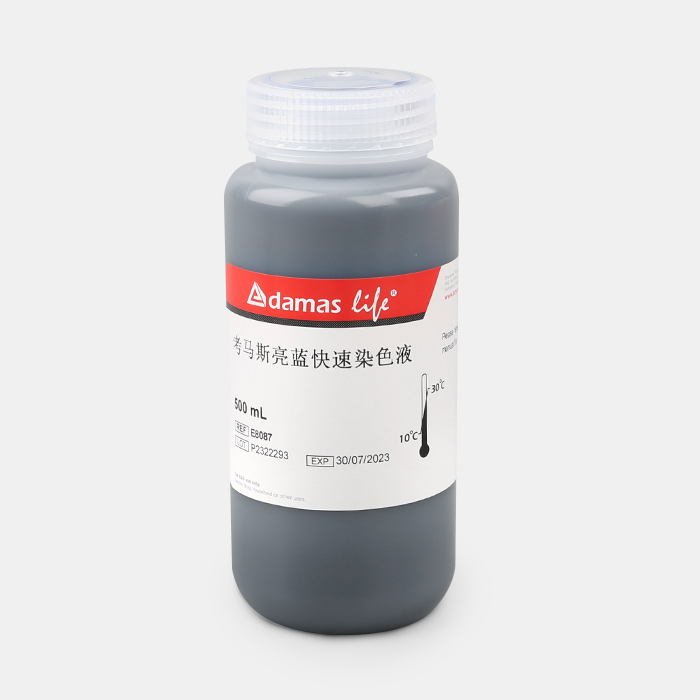 考马斯亮蓝快速染色液(10×)