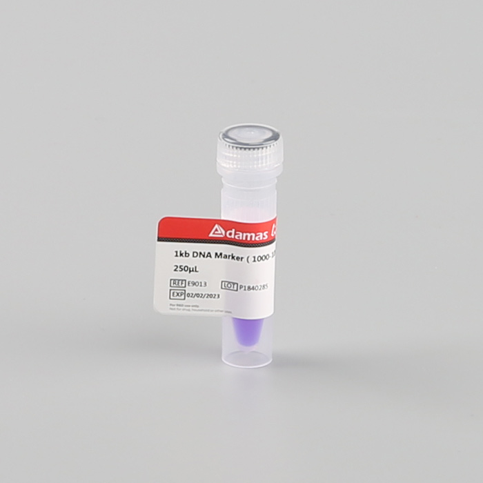 DNA分子量标准 1kb DNA Marker(1000-10000bp)
