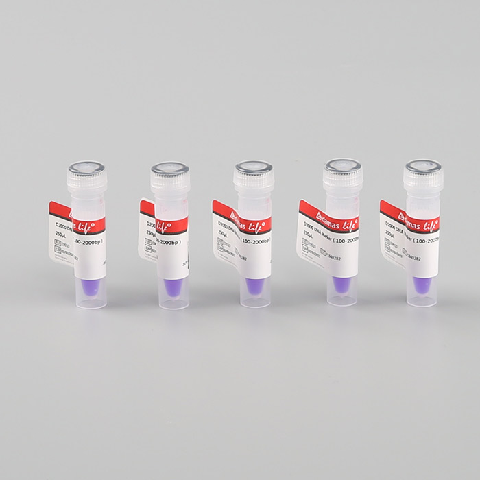 DNA分子量标准 D2000 DNA Marker(100-2000bp)