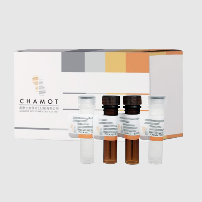 转染试剂FectinMore  Transfection Reagent
