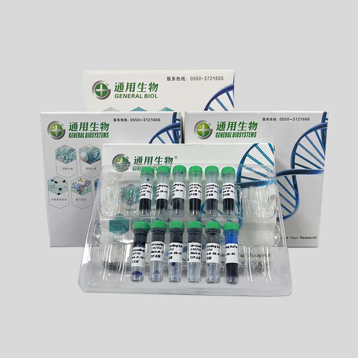 DNA loading buffer（10×） 缓冲液
