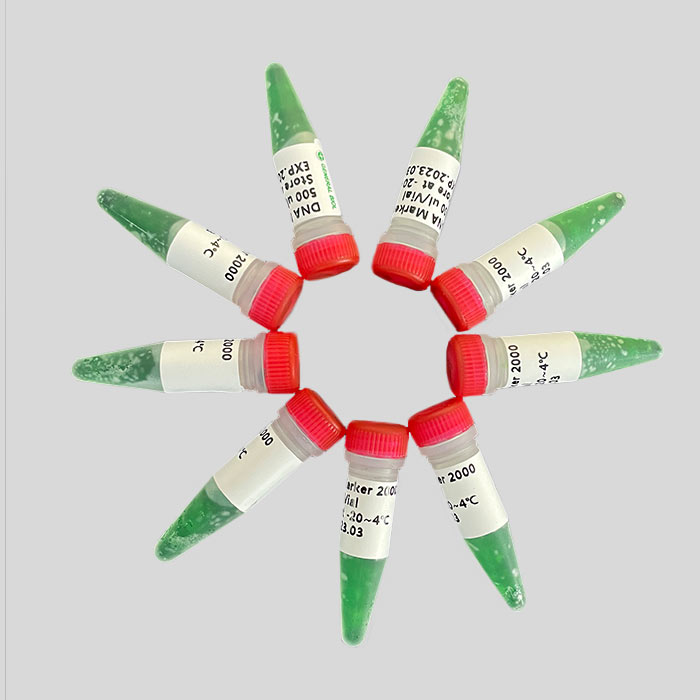 DNA Marker 5000 标记物