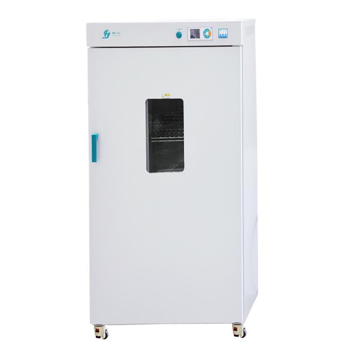 电热恒温鼓风干燥箱 625L RT+10～300℃ 垂直对流