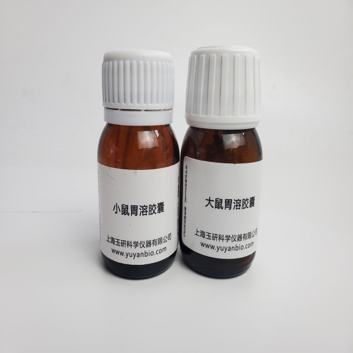 大鼠肠溶胶囊