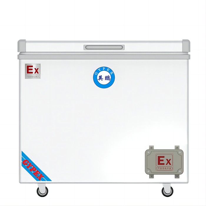 防爆冰箱-卧式冰柜（定制） 250L 单温冷冻 -18℃～0℃